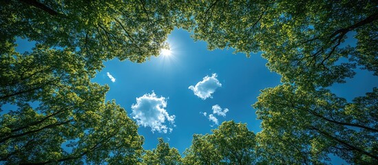Lush green tree canopy framing a bright blue sky with fluffy white clouds and sun shining through, featuring ample copy space for text.
