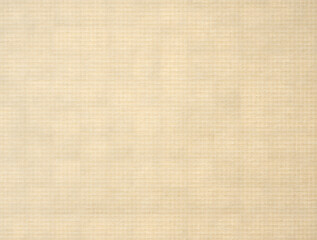 Background with light wood texture and natural old pattern.