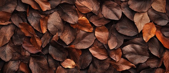 Fototapeta premium Brown dry autumn leaves texture background with varying shades of brown and orange tones ideal for nature themes and design projects Copy Space
