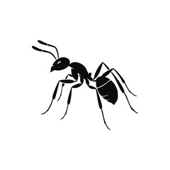the best  ant vector  silhouette