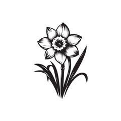 Elegant Daffodil Silhouette Vector on White Background