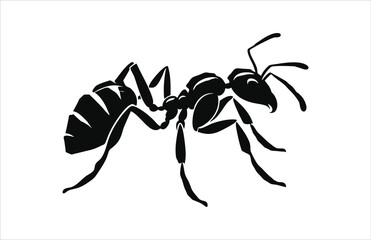 Simple black and white ant icon isolated on white background