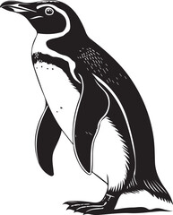 Penguin silhouette image