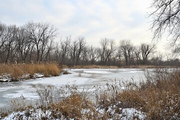 Winter lake with bare trees around it