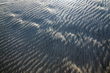 Sand in the dunes of Maspalomas, Gran Canaria.