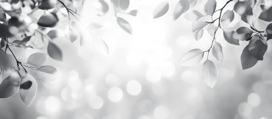 Black and white background featuring soft-focus leaves and bokeh lights with copy space for text insertion