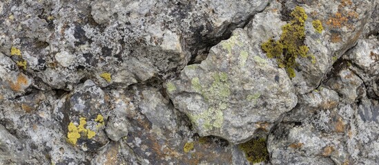 Fototapeta premium Textured rock surface with various shades of gray, yellow, and green lichen, natural stone background with organic patterns, Copy Space