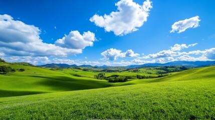 Obraz premium Rolling Green Hills Wildflower Meadow Landscape - Serene landscape, vibrant green hills, wildflowers, blue sky, fluffy clouds. Symbolizing peace, nature, freedom, growth, and tranquility.