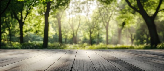 Wooden floor with blurred lush green forest background and soft sunlight filtering through trees creating a tranquil setting Copy Space