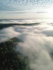 Obraz premium Misty Mountain View