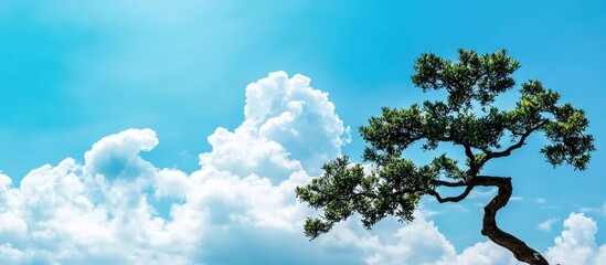Lonely tree silhouette against a bright blue sky with fluffy white clouds and ample copy space for text insertion