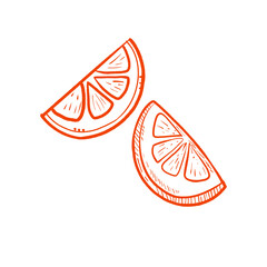 slice of orange fruit illustration line art isolated white