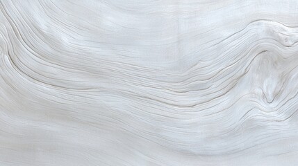 Obraz premium White wood grain texture background, nature design