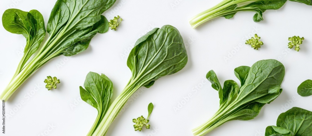 Poster fresh green spinach leaves arranged on a white background with small buds, ideal for culinary and he