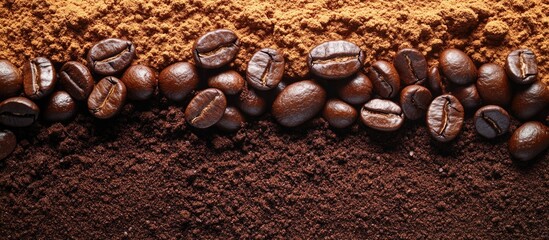 Coffee beans and ground coffee on wooden surface with various coffee powder types and textures Copy Space