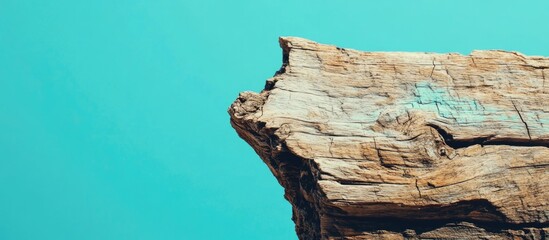 Rustic wooden log against a bright teal background featuring texture and copy space for text placement