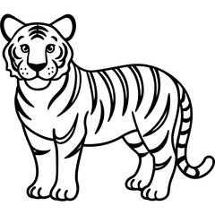 Tiger illustration