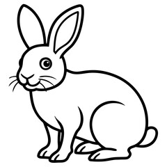 white rabbit on white