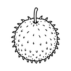 Lychee icon. Minimalist line drawing of a ripe lychee. Vector illustration