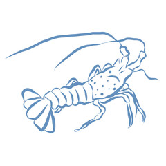 Line Art Illustration of Lobster. Vector Graphic.