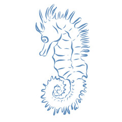 Line Art Illustration of Seahorse. Vector Graphic.
