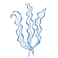 Line Art Illustration of Seaweed. Vector Graphic.