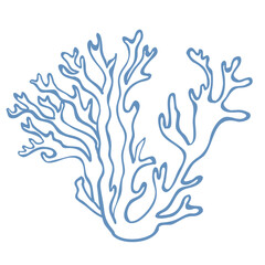 Line Art Illustration of Seaweed. Vector Graphic.