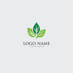 Green leaf, green, eco, bio, icon vector template fully editable