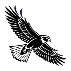 eagle in the sky