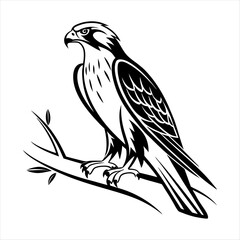 eagle on the bramch a white background