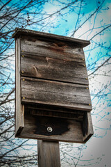 close-up of a weathered bat house against a beautiful sky with tree and cloudscape in the background wildlife environment nature scene