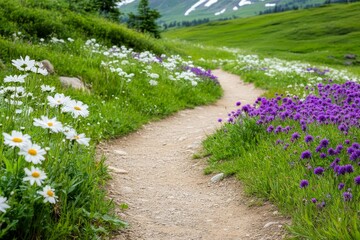 Obraz premium Mountain Wildflower Trail - A winding path through a vibrant meadow filled with white daisies and purple wildflowers, with mountains in the background.