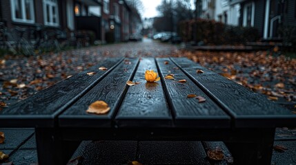 Autumnal street scene single yellow flower on wet park bench