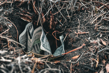 abstract dollar bills money buried in the ground concept of risk tolerance spending power inflation fear consumer behavior wealth management business metaphor banking interest rates background