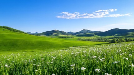 Rolling Hills Wildflower Meadow Landscape - Serene landscape, wildflowers blooming, rolling green hills, bright blue sky, peaceful nature. Symbolizing tranquility, growth, beauty, freedom