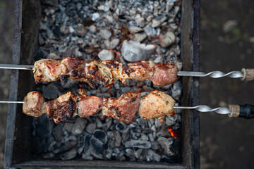 Food cooked outdoors on charcoal, hands in frame. Barbecue.