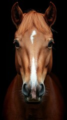 Fototapeta premium Close-up of a majestic horse illuminated by warm lights, showcasing deep details