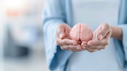 Hands Holding A Realistic Human Brain Model