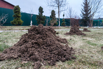 heaps of garden soil dug up by moles in a vegetable garden at a summer cottage. High quality photo