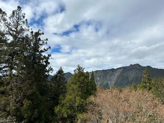 Obraz premium Beautiful view in Alishan