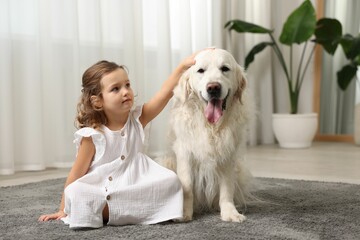 Little girl with cute dog on carpet at home