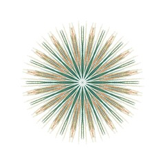 Obraz premium Dark Paint Brushes Round mandalas in vector.Abstract design element.Decorative retro ornament.Graphic template for your design.Hand Drawn Mandala.Radiant Peaceful Petals book.Art on the wall.