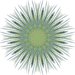 Obraz premium Dark Paint Brushes Round mandalas in vector.Abstract design element.Decorative retro ornament.Graphic template for your design.Hand Drawn Mandala.Radiant Peaceful Petals book.Art on the wall.
