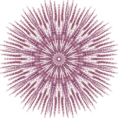 Obraz premium Dark Paint Brushes Round mandalas in vector.Abstract design element.Decorative retro ornament.Graphic template for your design.Hand Drawn Mandala.Radiant Peaceful Petals book.Art on the wall.