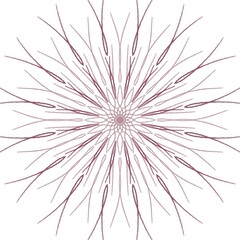 Obraz premium Dark Paint Brushes Round mandalas in vector.Abstract design element.Decorative retro ornament.Graphic template for your design.Hand Drawn Mandala.Radiant Peaceful Petals book.Art on the wall.