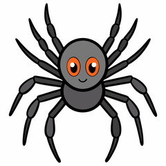 spider on a white background