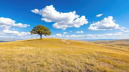 Obraz premium Lone tree on hilltop, sunny day, rolling landscape, peaceful nature scene, perfect for travel brochures