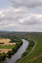 Obraz premium Hessigheim rock gardens with a view of the Neckar in summer