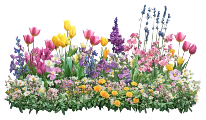 PNG Spring flower bed flowers nature garden.