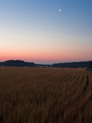 sunrise over the field